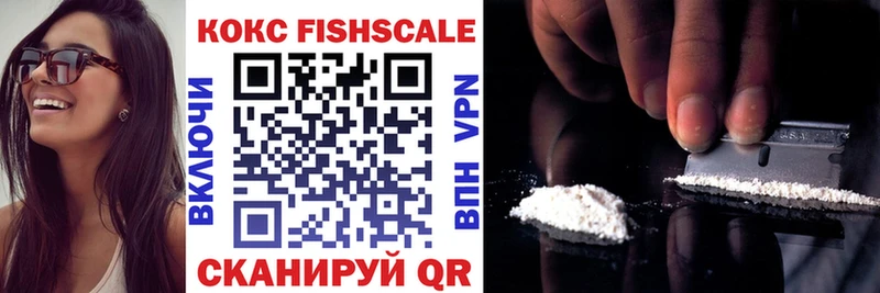 Купить закладки  Сланцы  Cocaine Fish Scale 