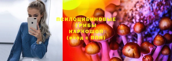бошки Арсеньев