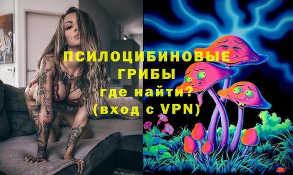 первитин Белокуриха