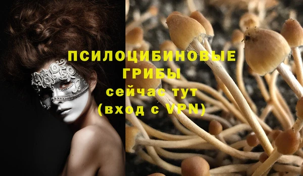 тгк Аркадак