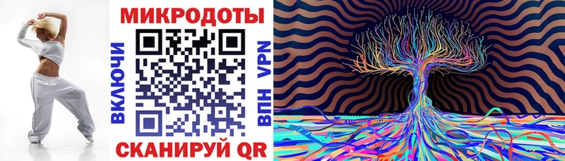 Псилоцибиновые грибы Psilocybe  Купить  Сланцы 